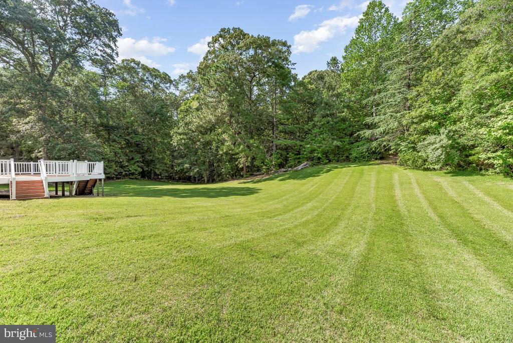 995 Clay Hammond Rd