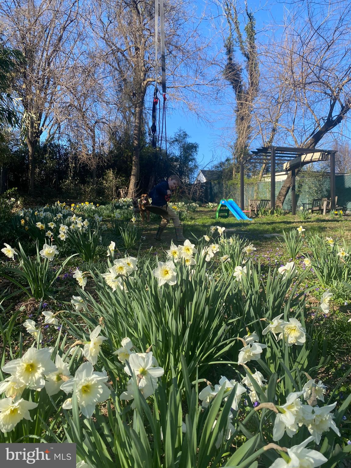 725 SILVER SPRING AVENUE