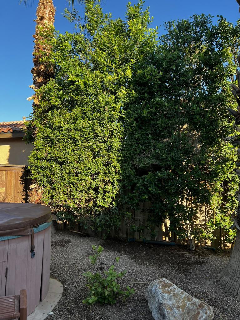 64451 Brae Burn Avenue