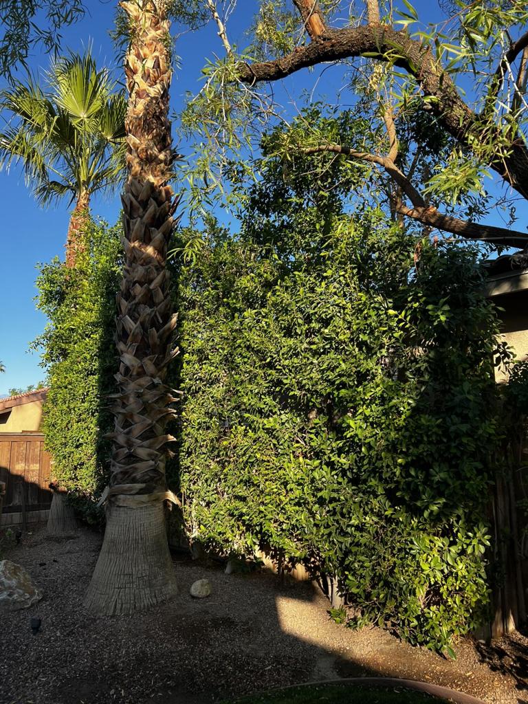 64451 Brae Burn Avenue