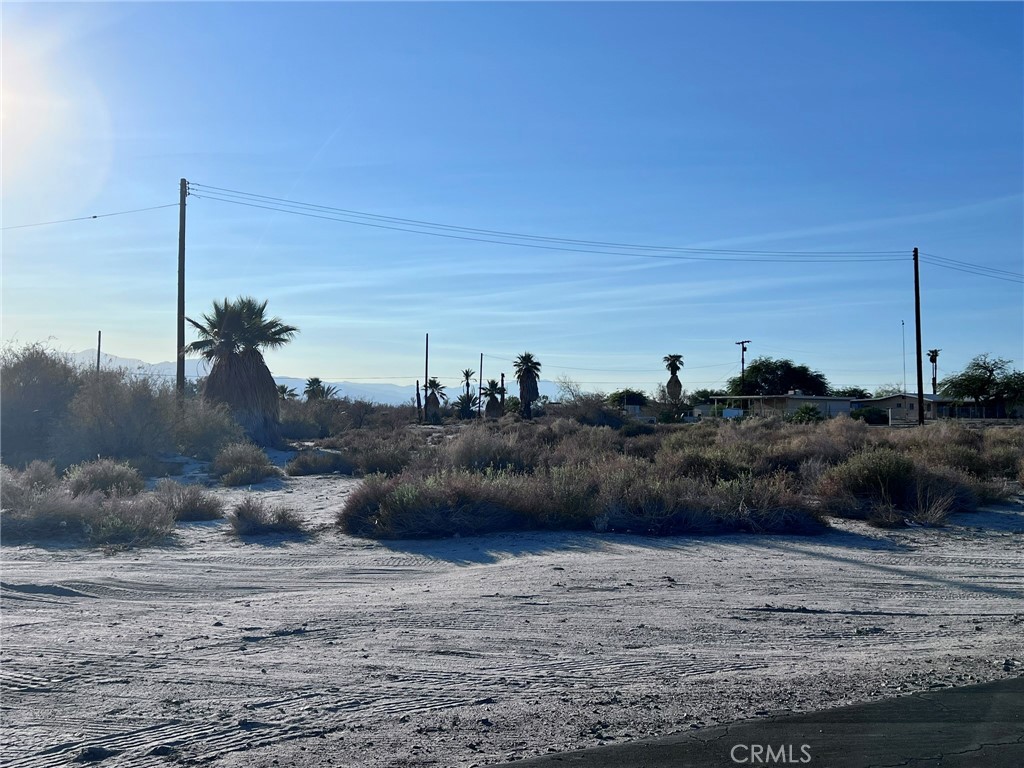126 Date Palm Beach