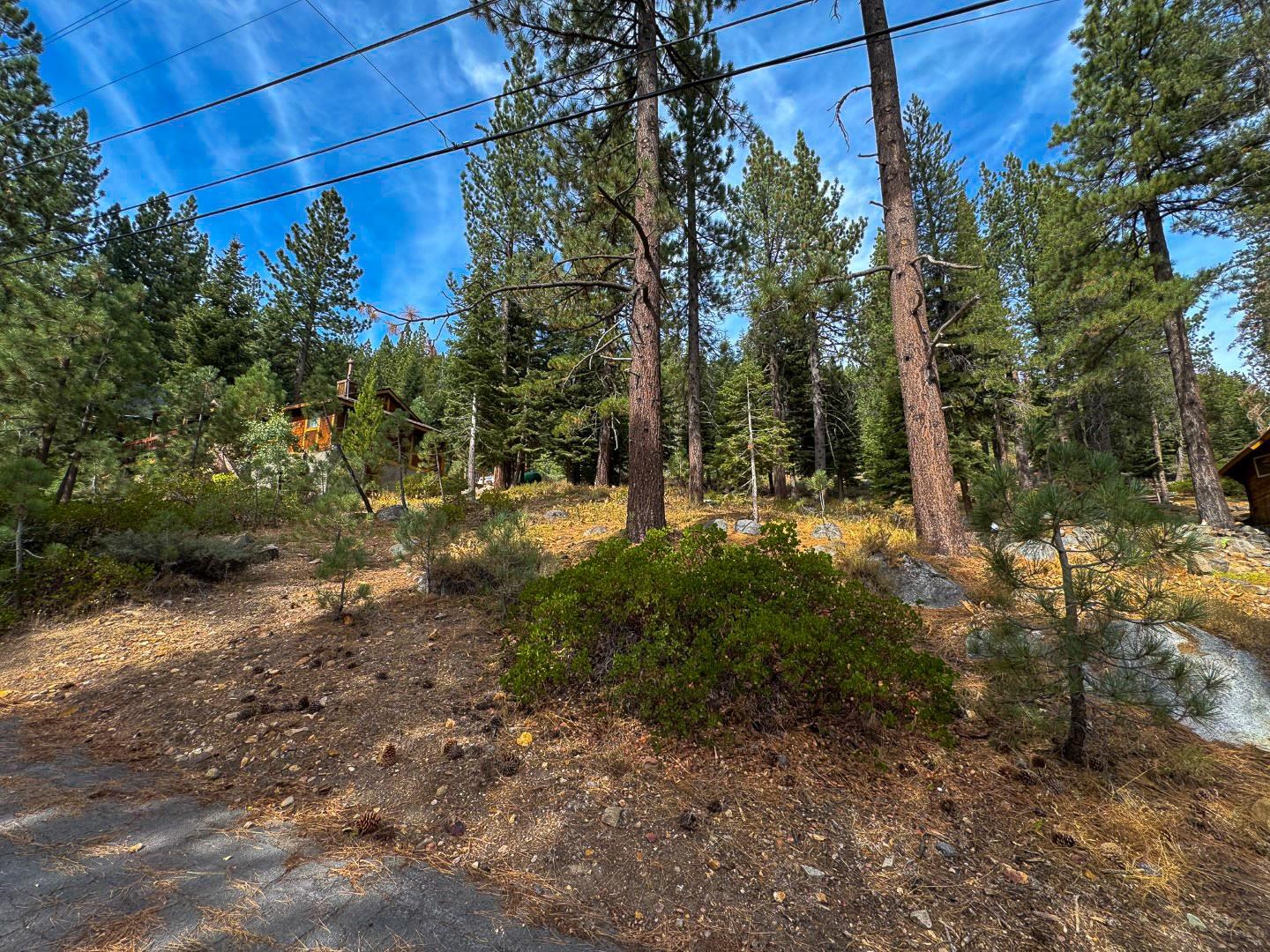 174 Tiger Tail Road