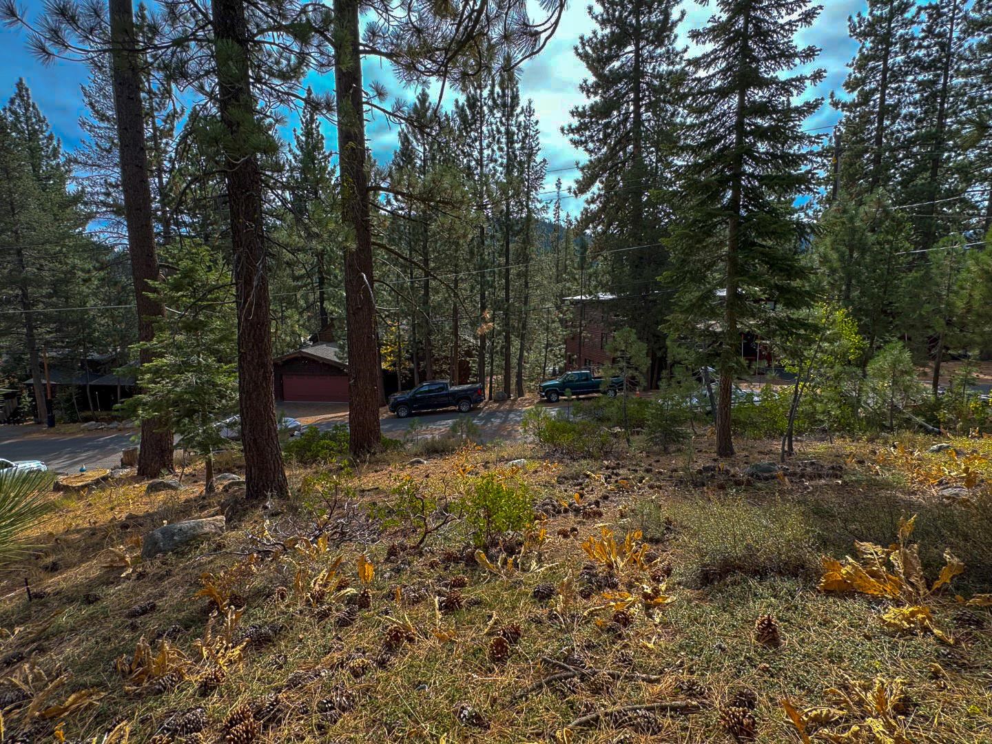 174 Tiger Tail Road