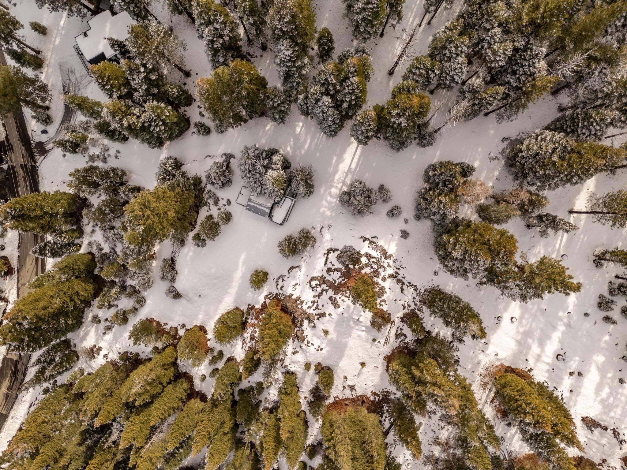 11392 Lockwood Drive