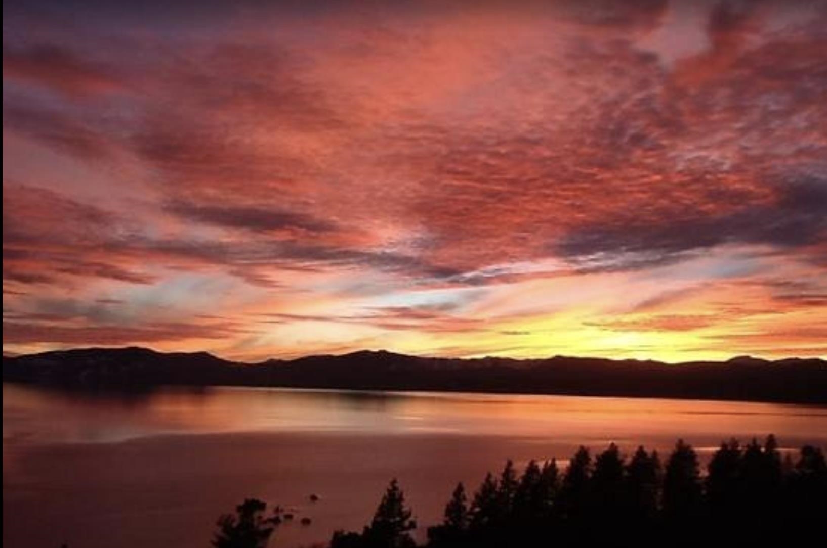 11392 Lockwood Drive