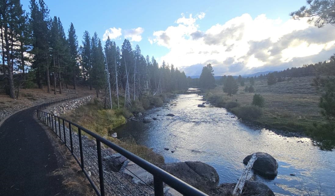 10252 Winter Creek Loop