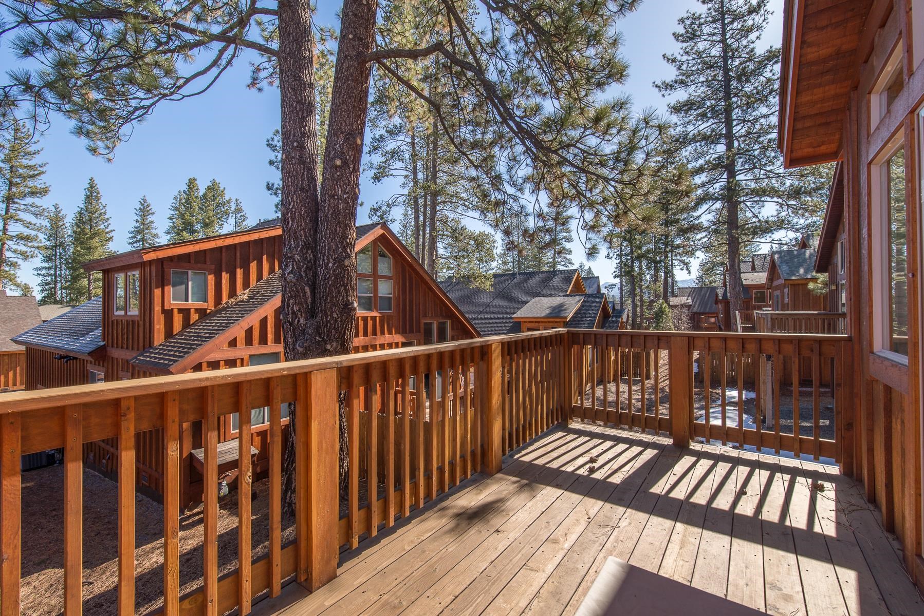 10252 Winter Creek Loop