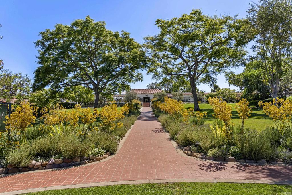 5927 Linea Del Cielo -Jacaranda