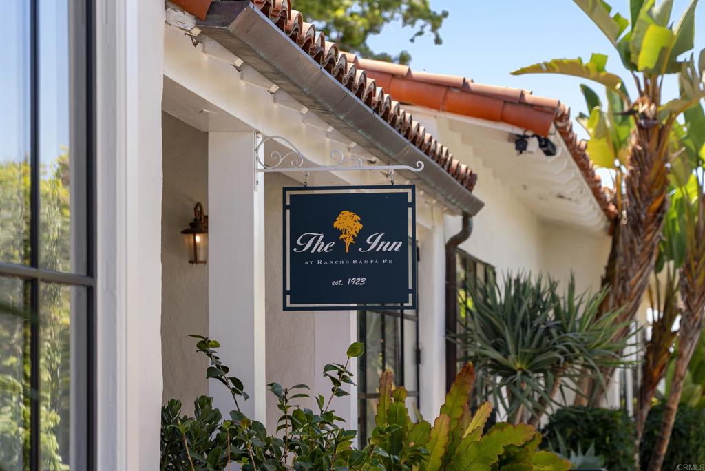 5927 Linea Del Cielo -Jacaranda