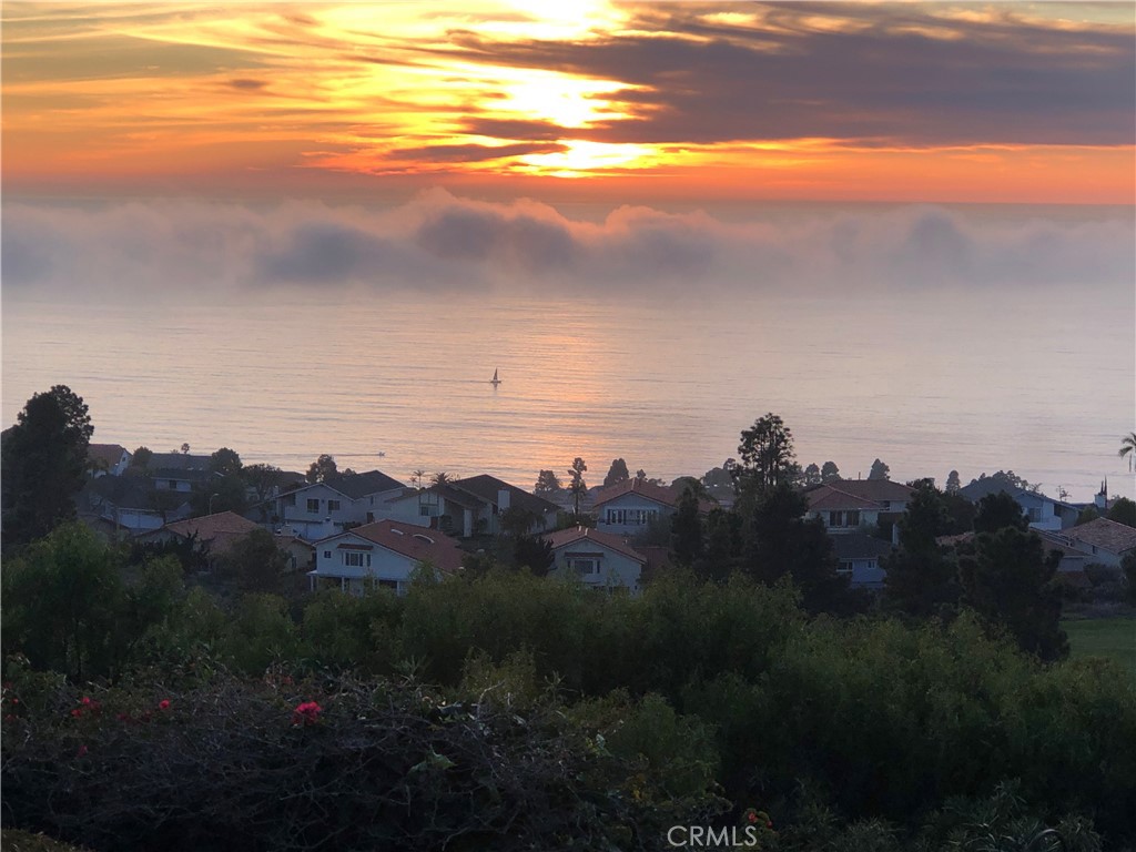 30125 Avenida Classica