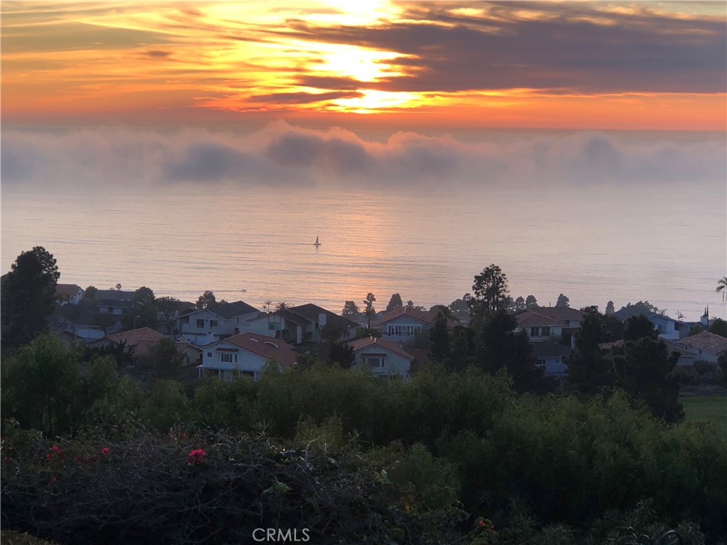 30125 Avenida Classica