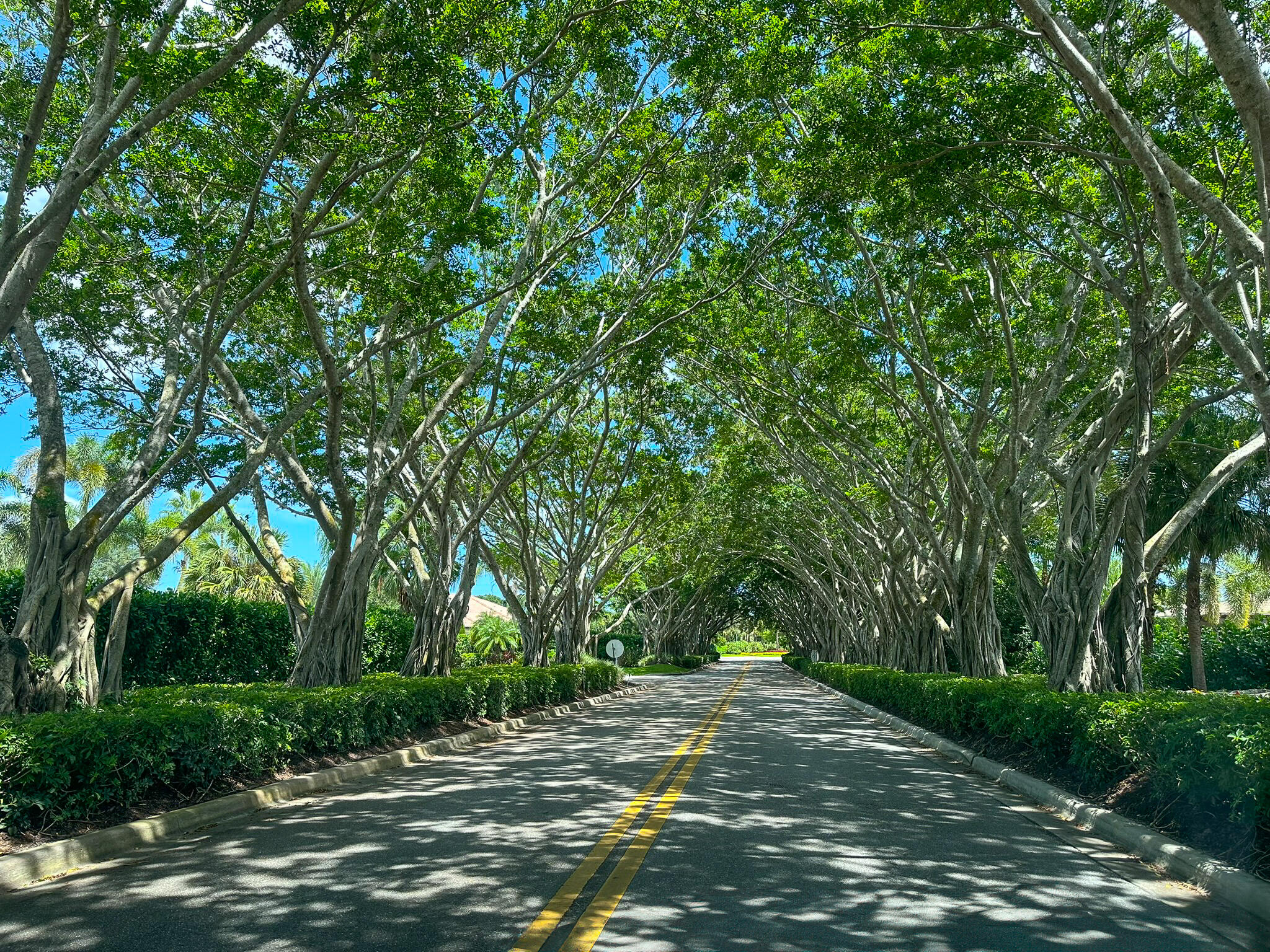 8385 Ironhorse Court, West Palm Beach