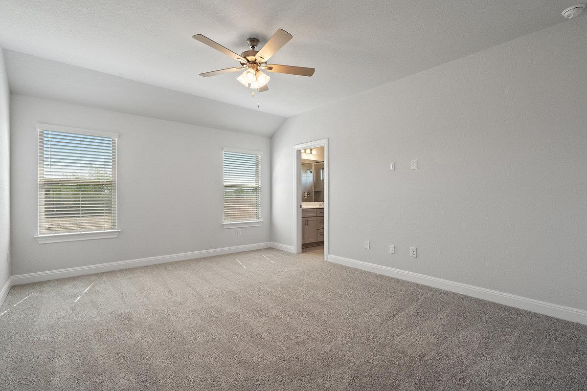431 Dogvane CIR