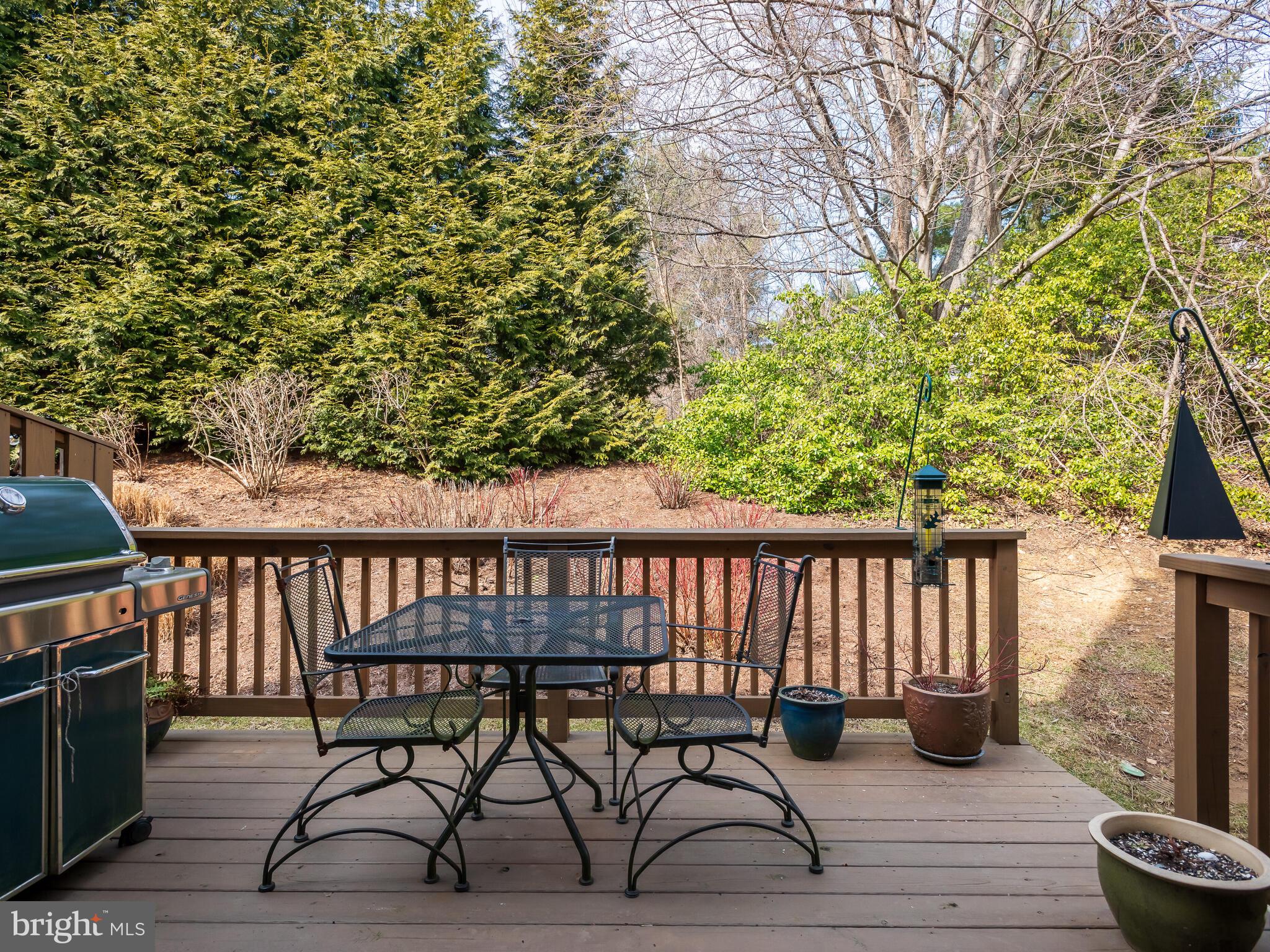 81 E Thomas Ct
