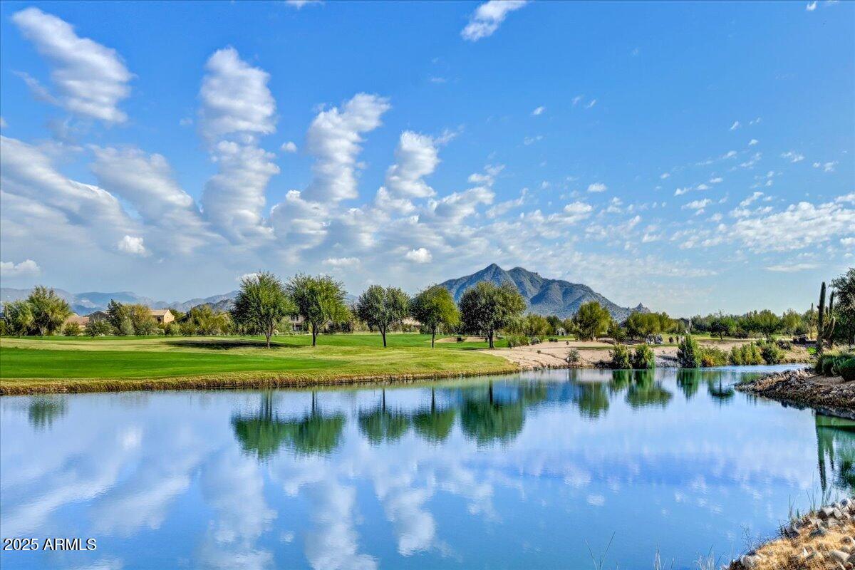 33550 N DOVE LAKES Drive 2009