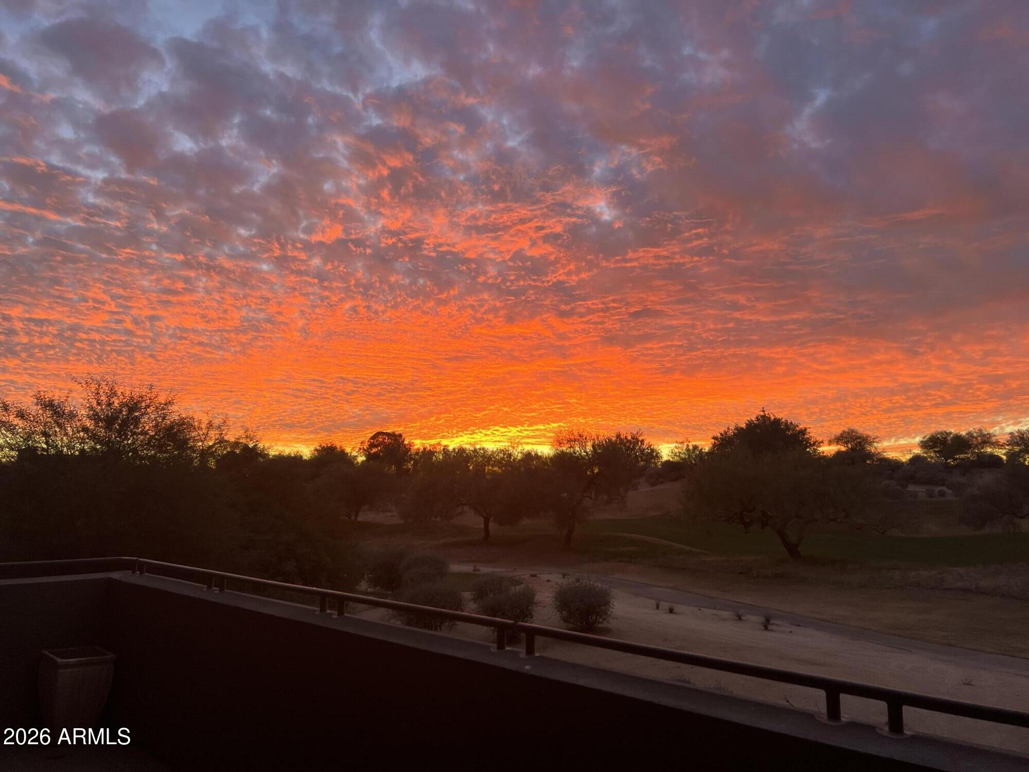 15802 N 71ST Street 203