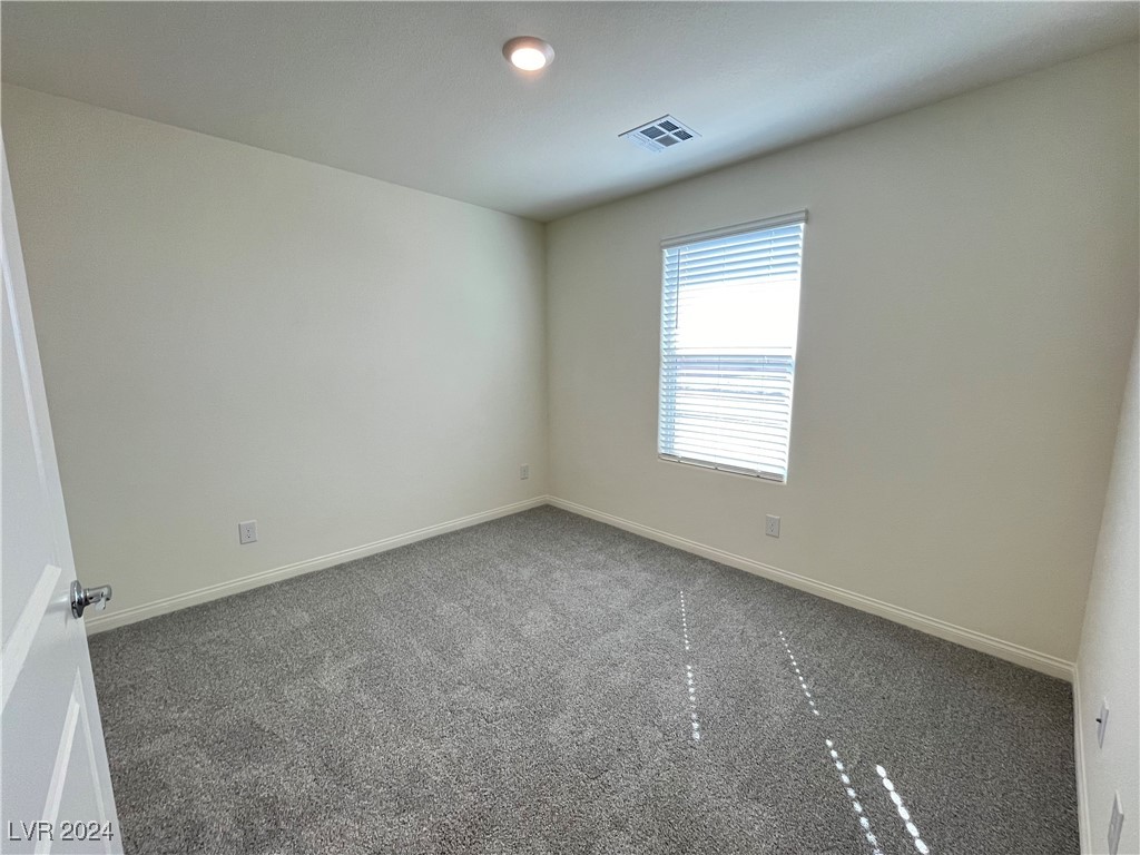 1149 Blue Lovebird Street