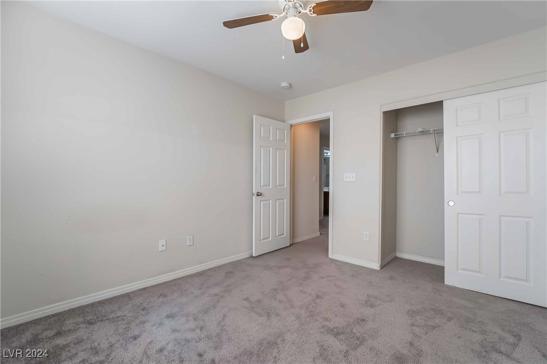 8266 Amphora Street