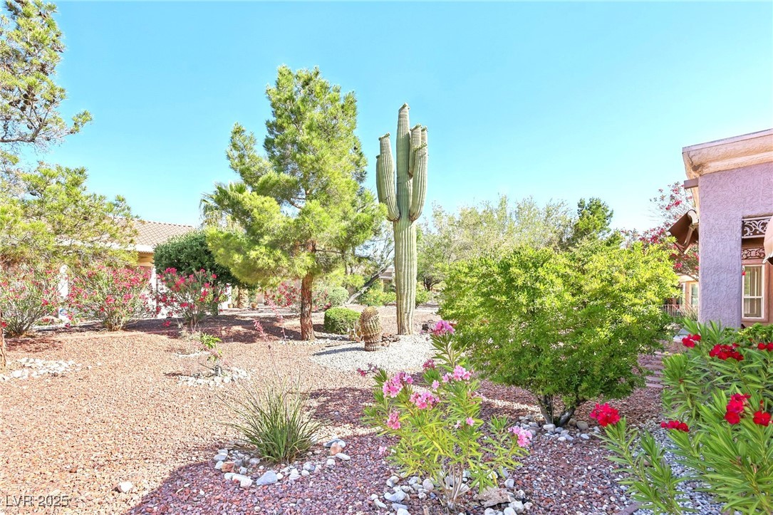 3013 Sungold Drive