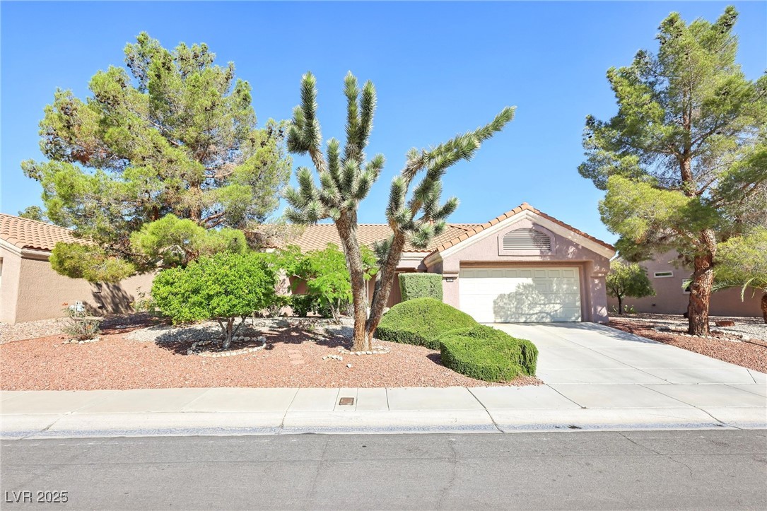 3013 Sungold Drive