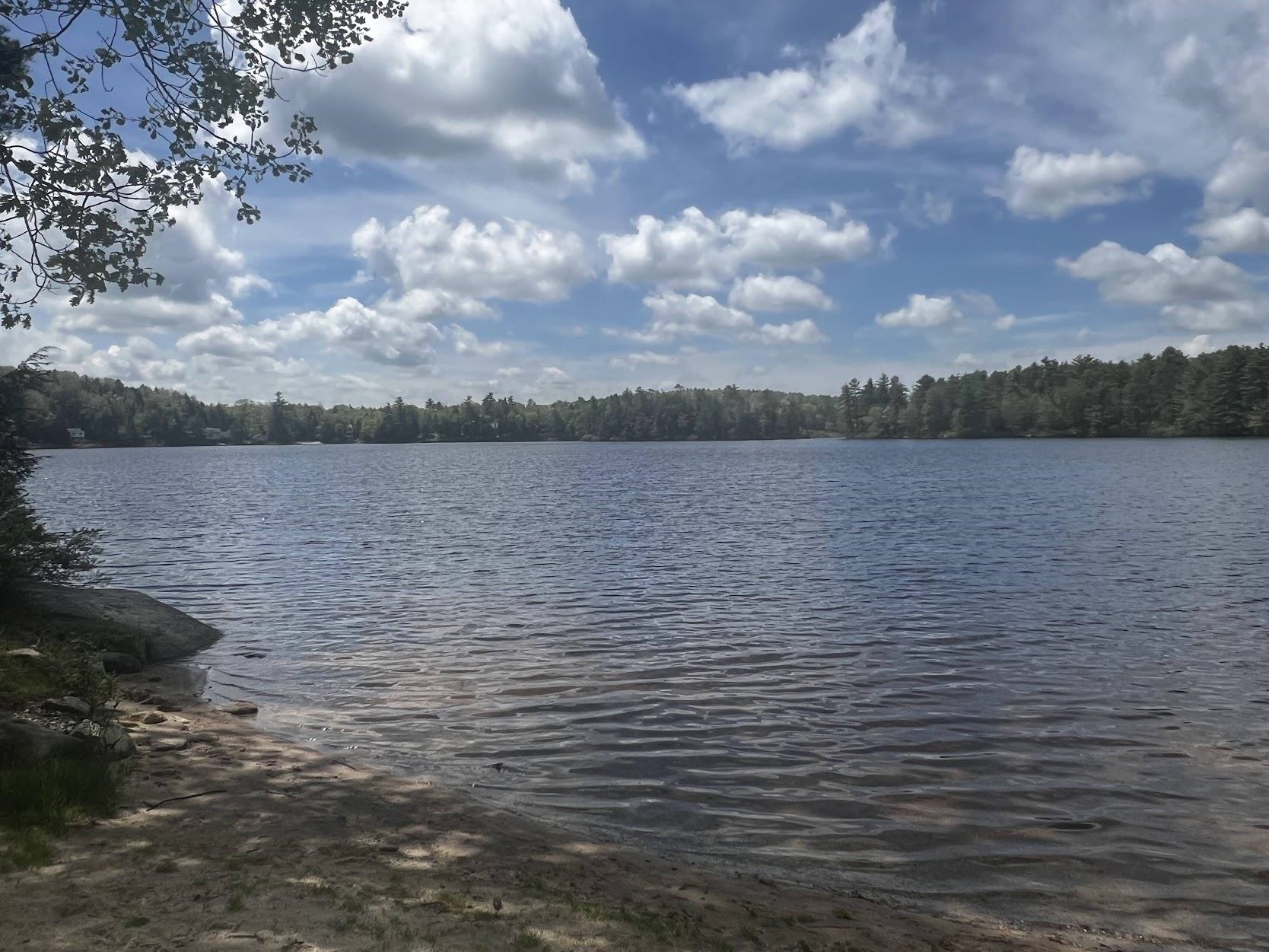 63 Alton Shores Road