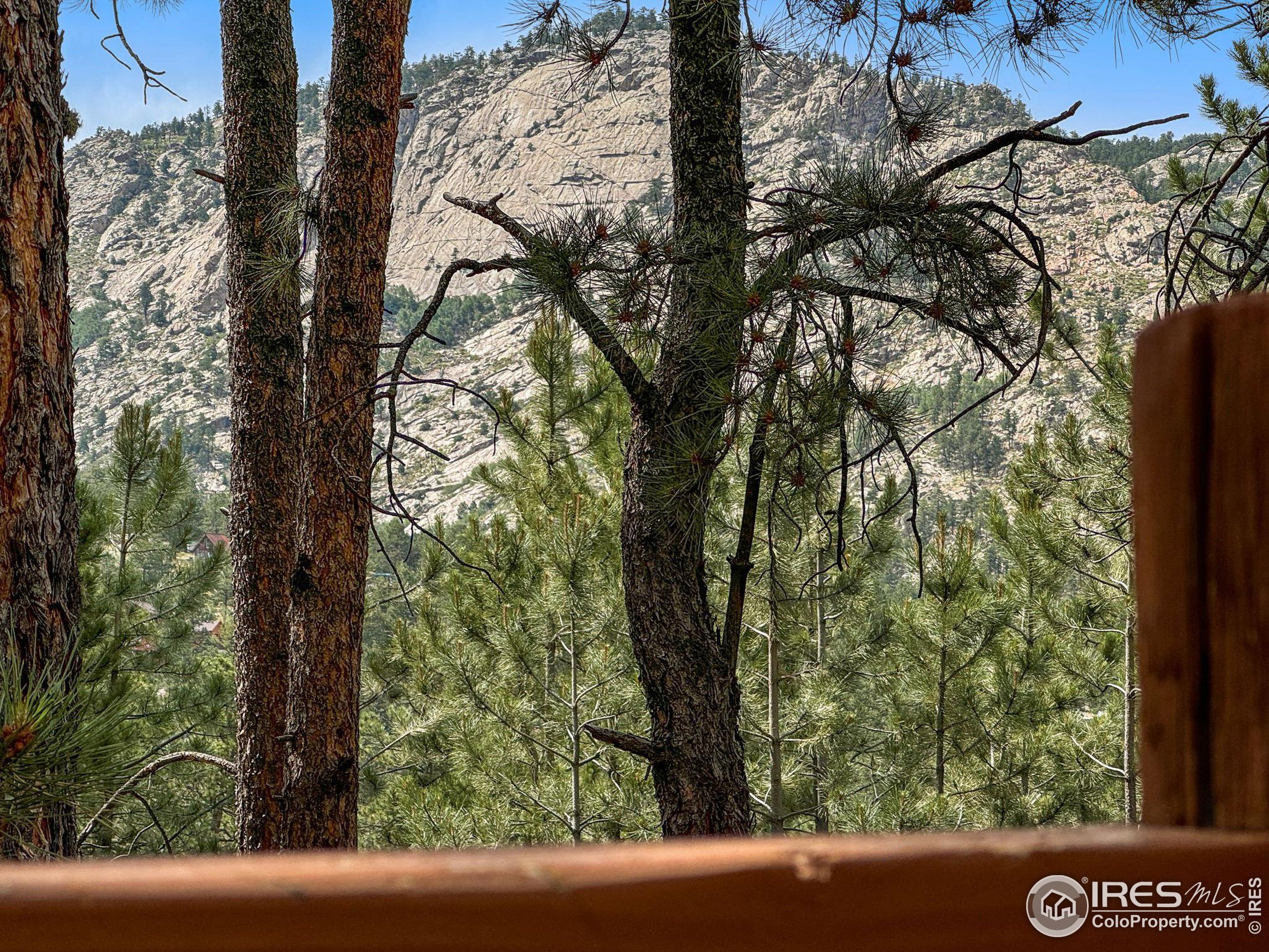 341 Spruce Mountain Dr