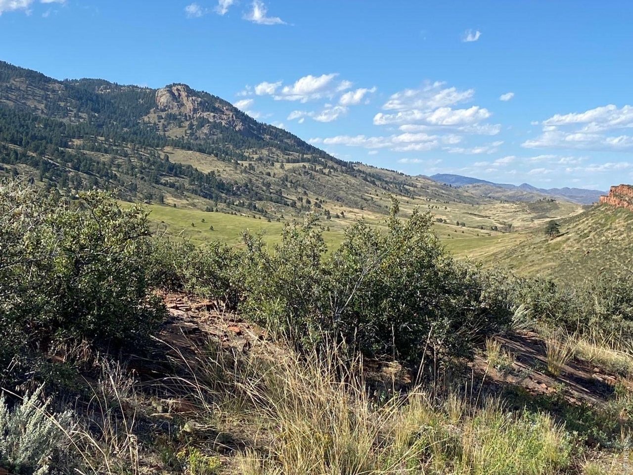 3384 Continental Cir