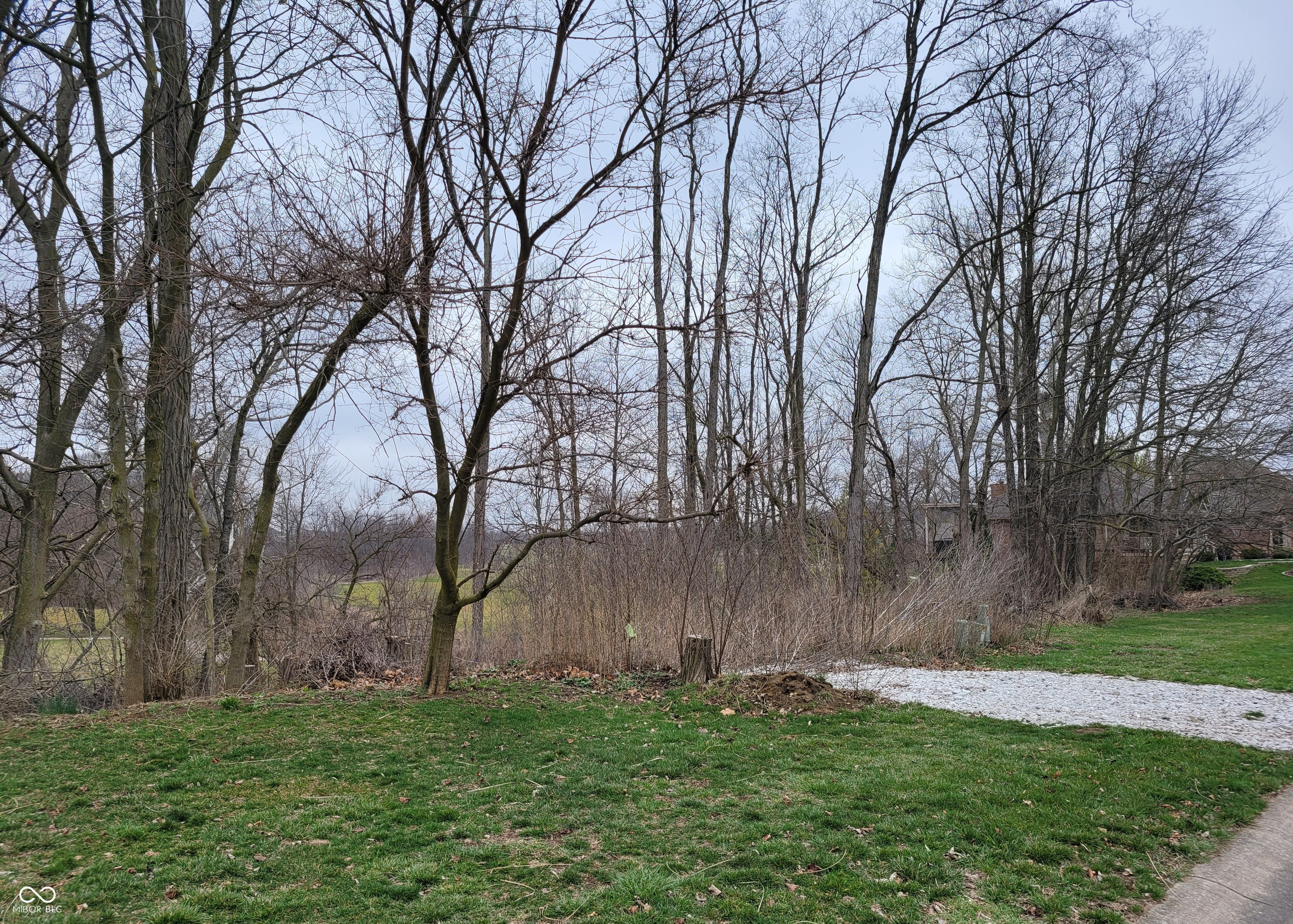 92 Torrey Pine Drive