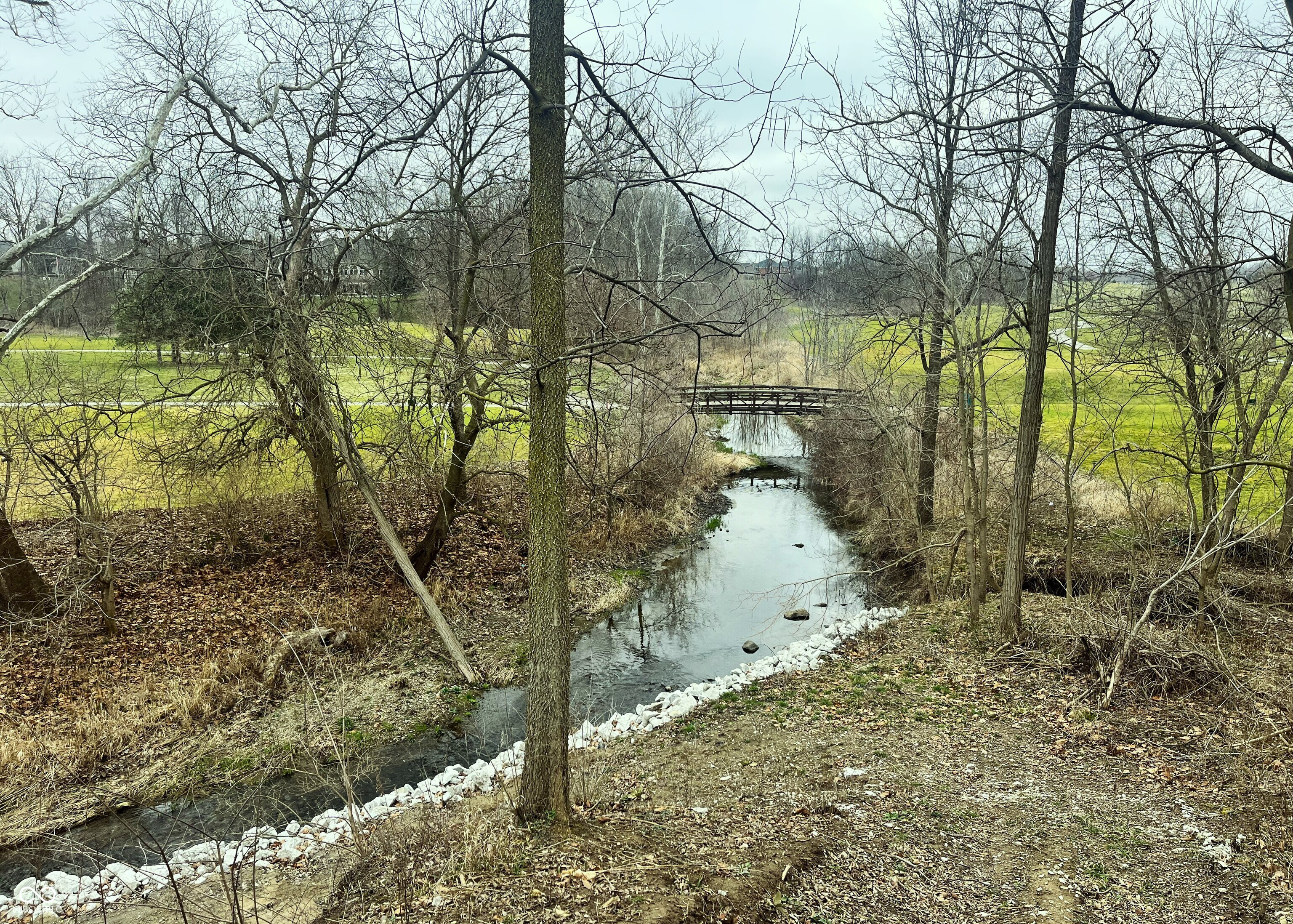 92 Torrey Pine Drive