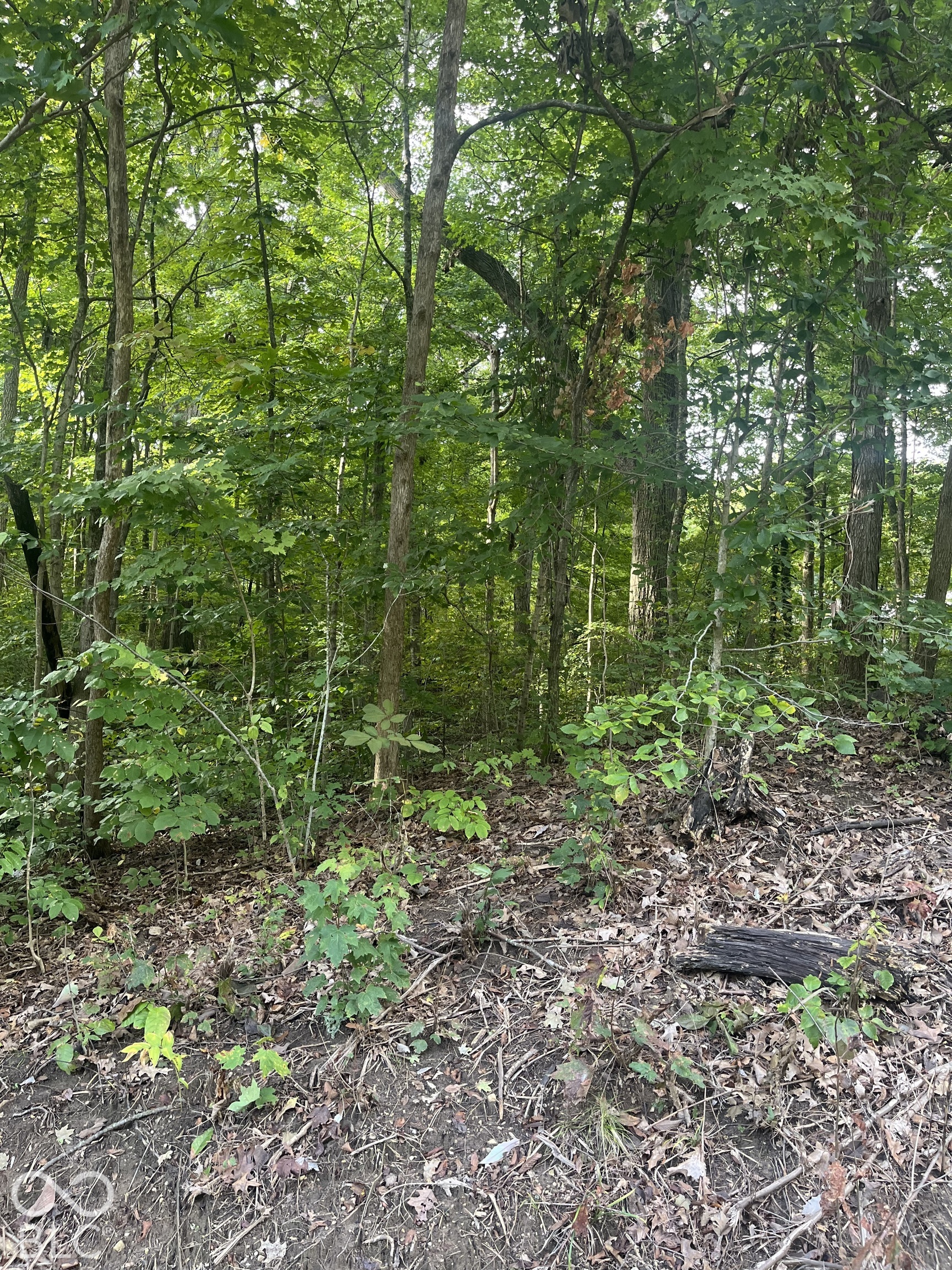 00 E State Road 252 Road