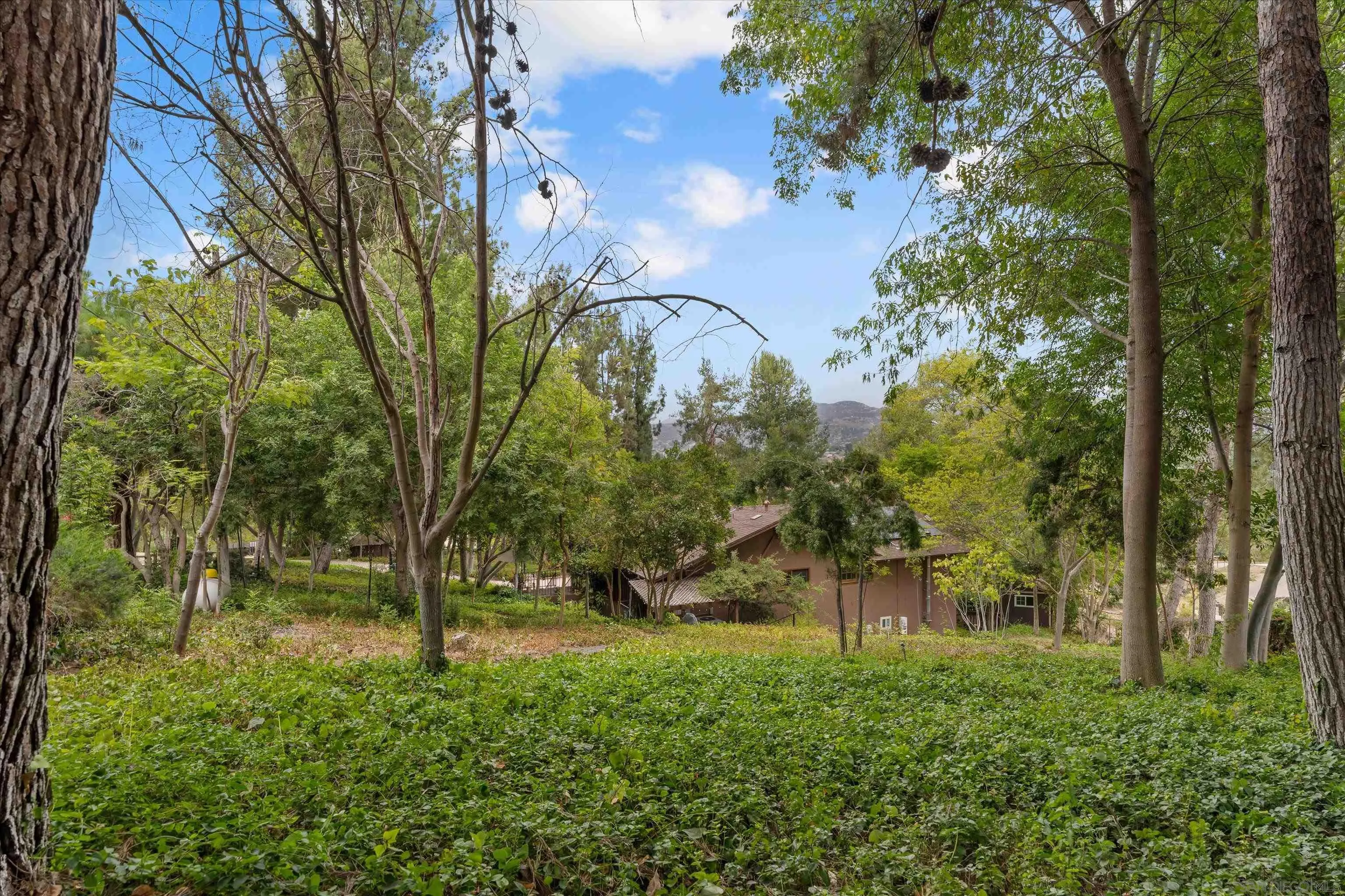 869 Van Horn Rd