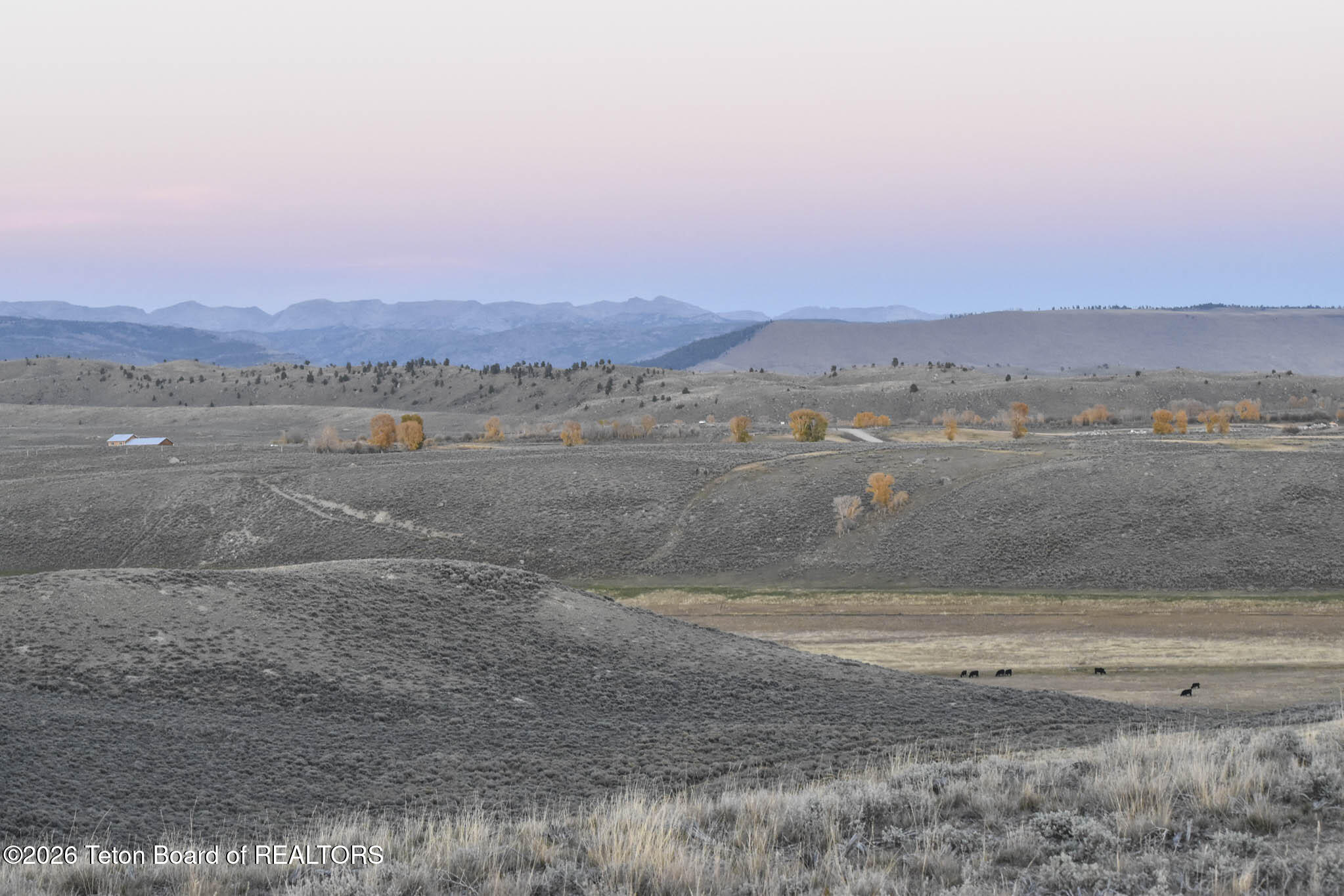LOT 56 BIG LOOP Road
