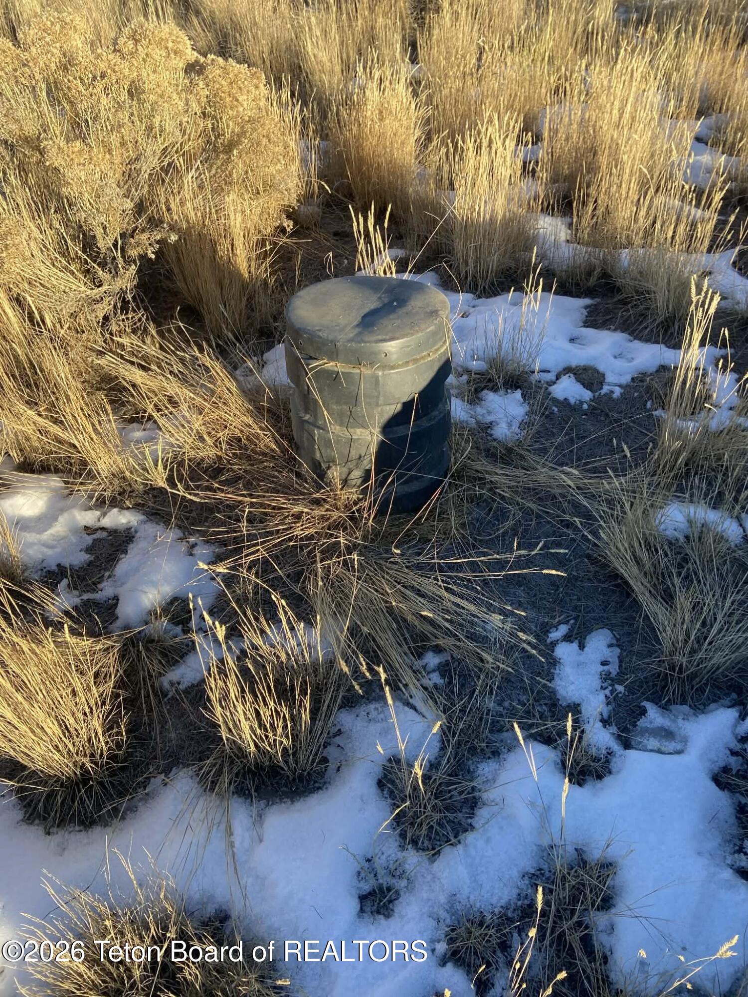 165 MEADOW LARK Lane