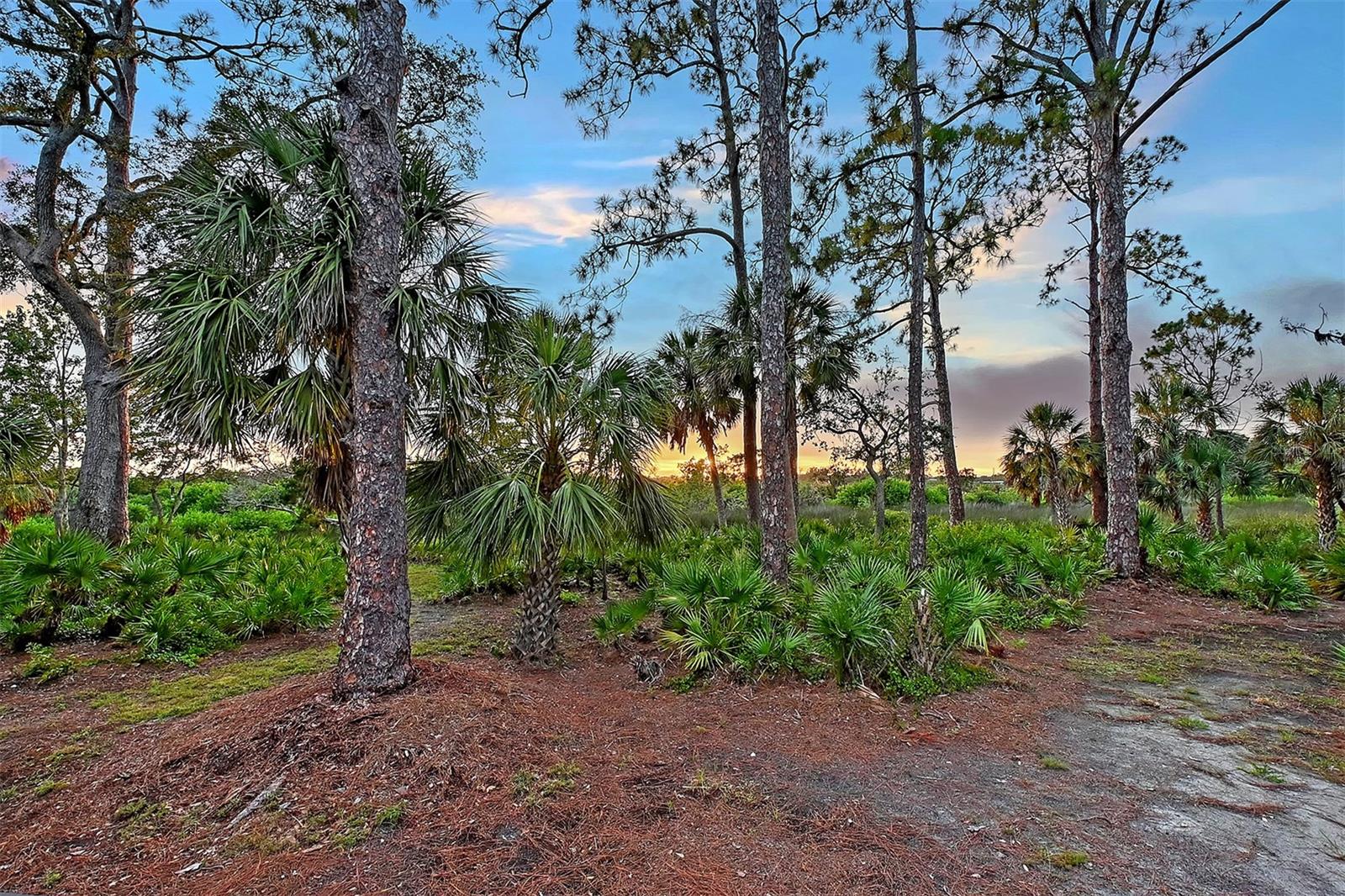 5935 RIVER FOREST CIR