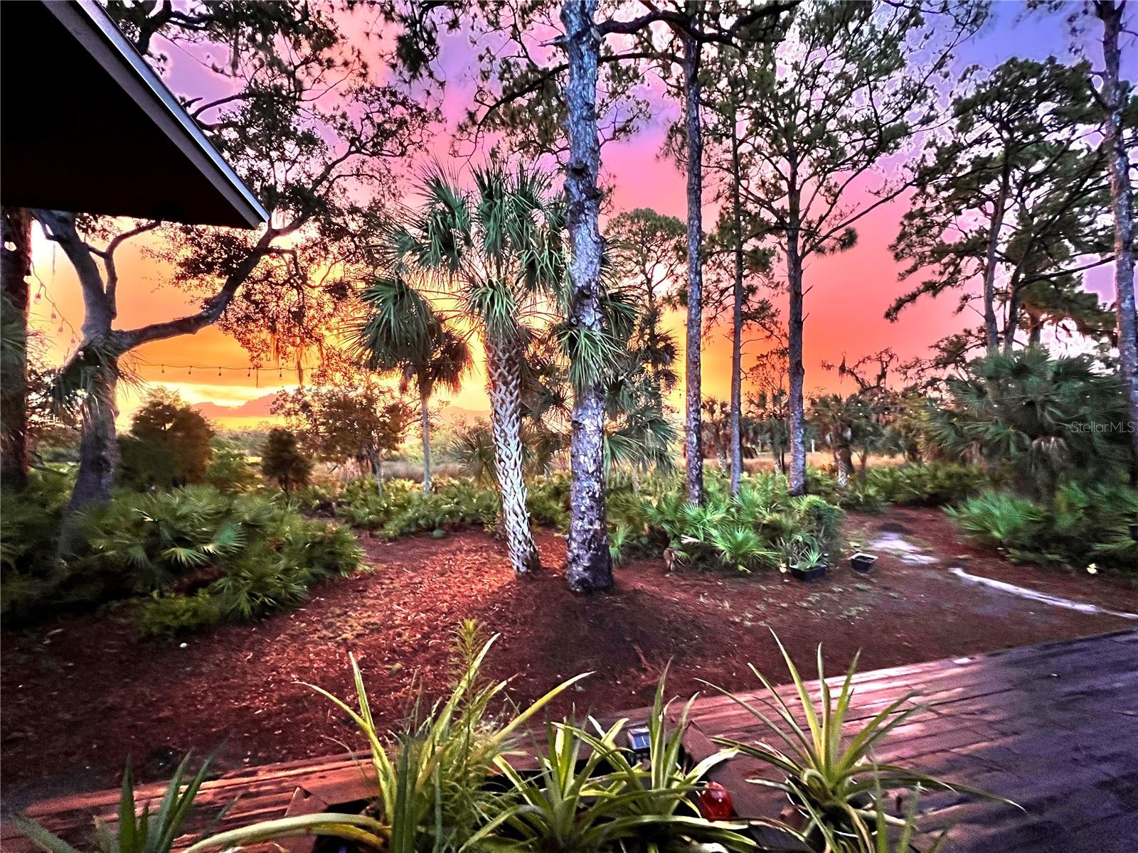5935 RIVER FOREST CIR