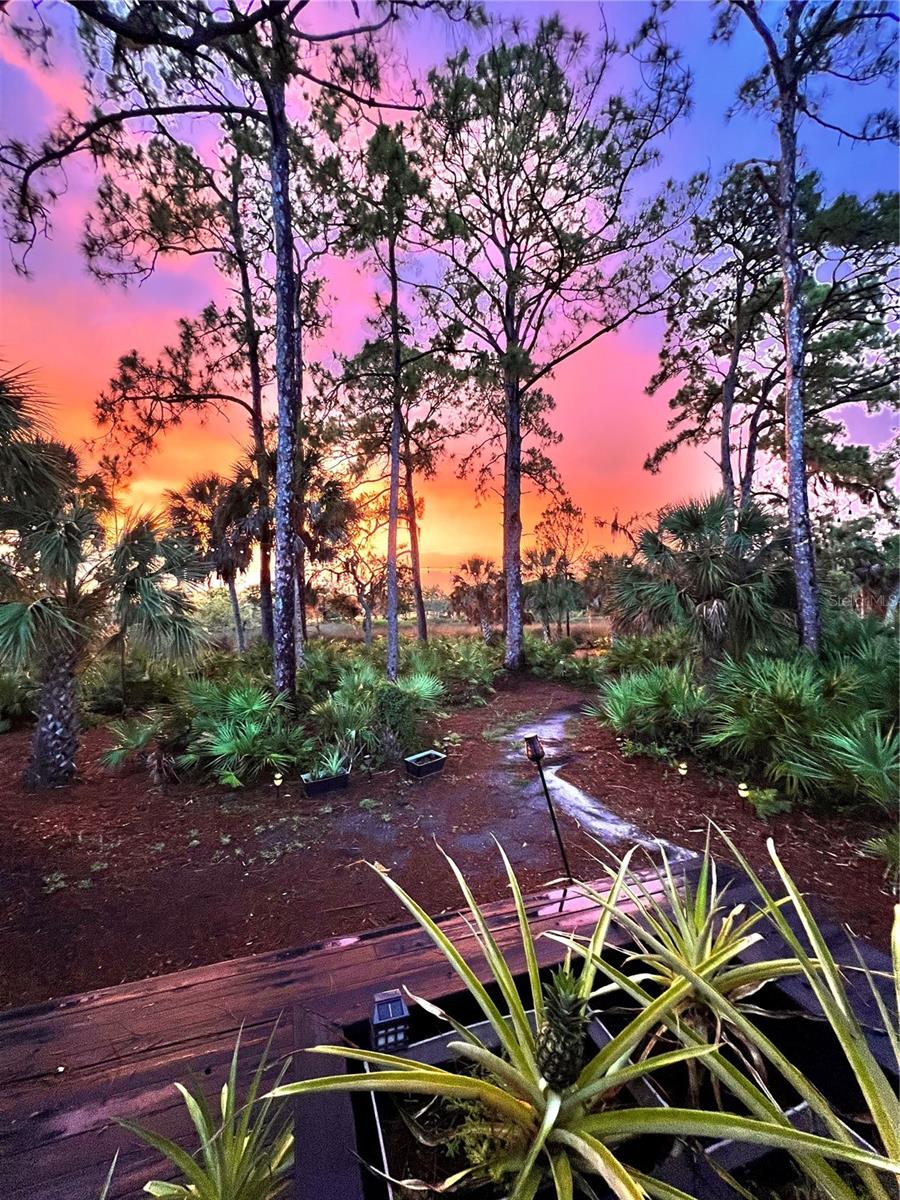 5935 RIVER FOREST CIR