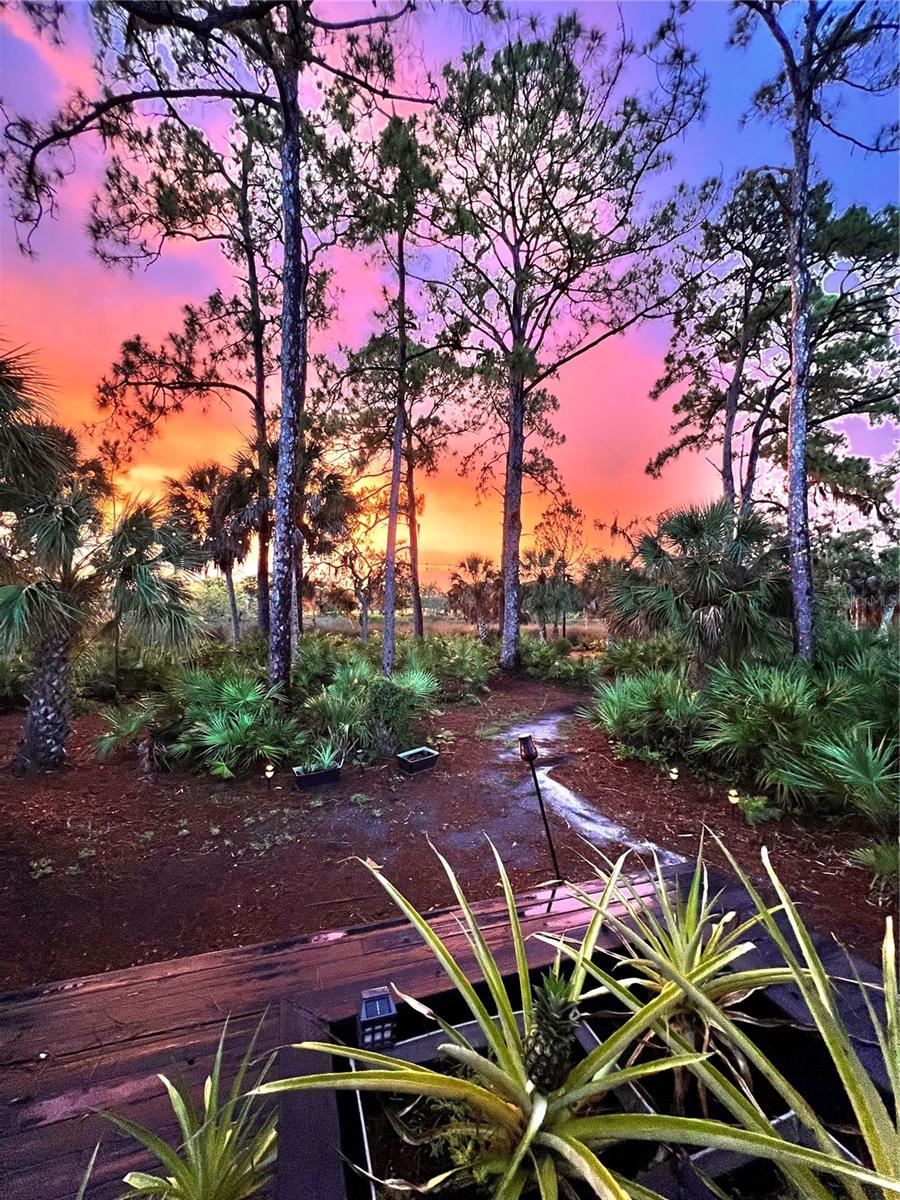 5935 RIVER FOREST CIR