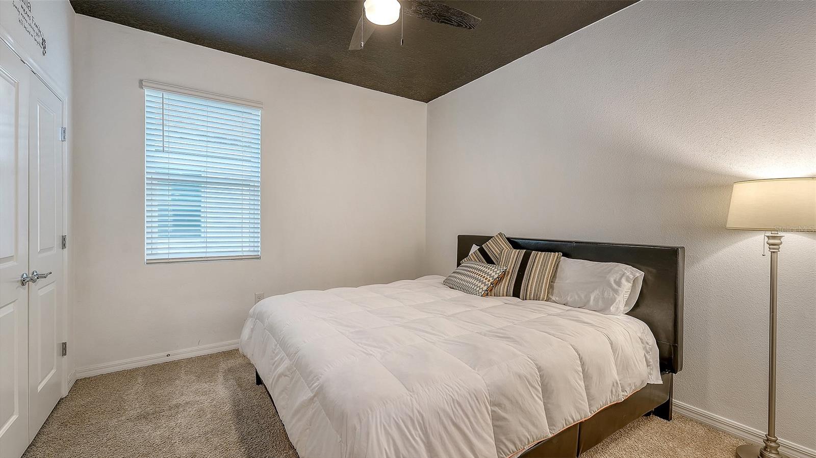 3929 MOSSY LIMB CT