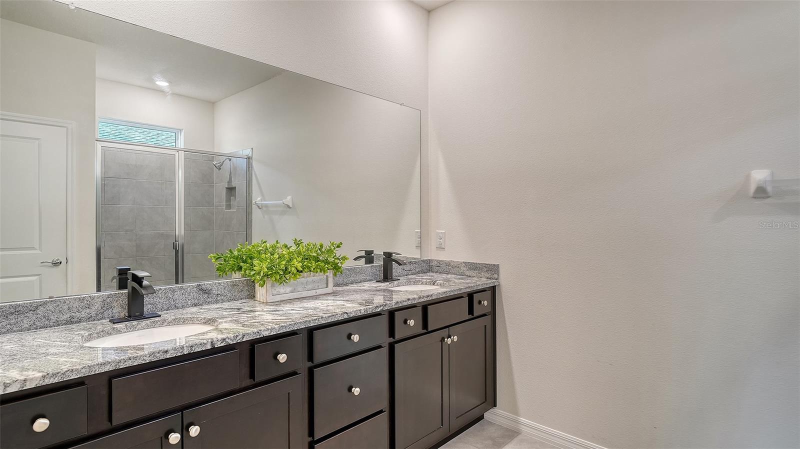 3929 MOSSY LIMB CT