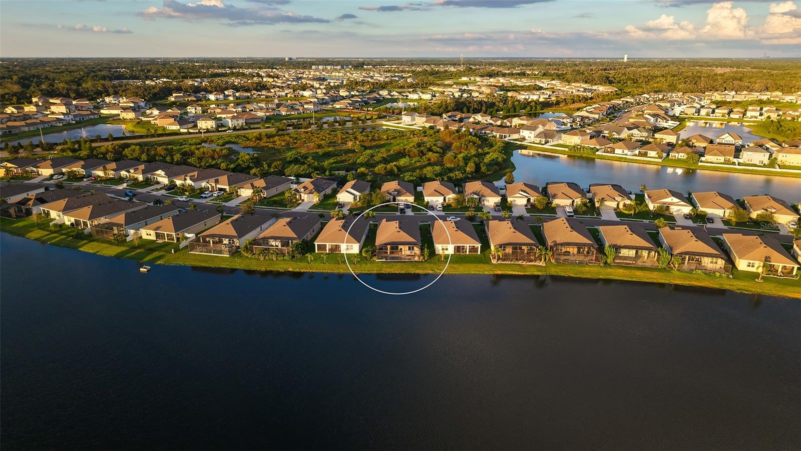 3929 MOSSY LIMB CT