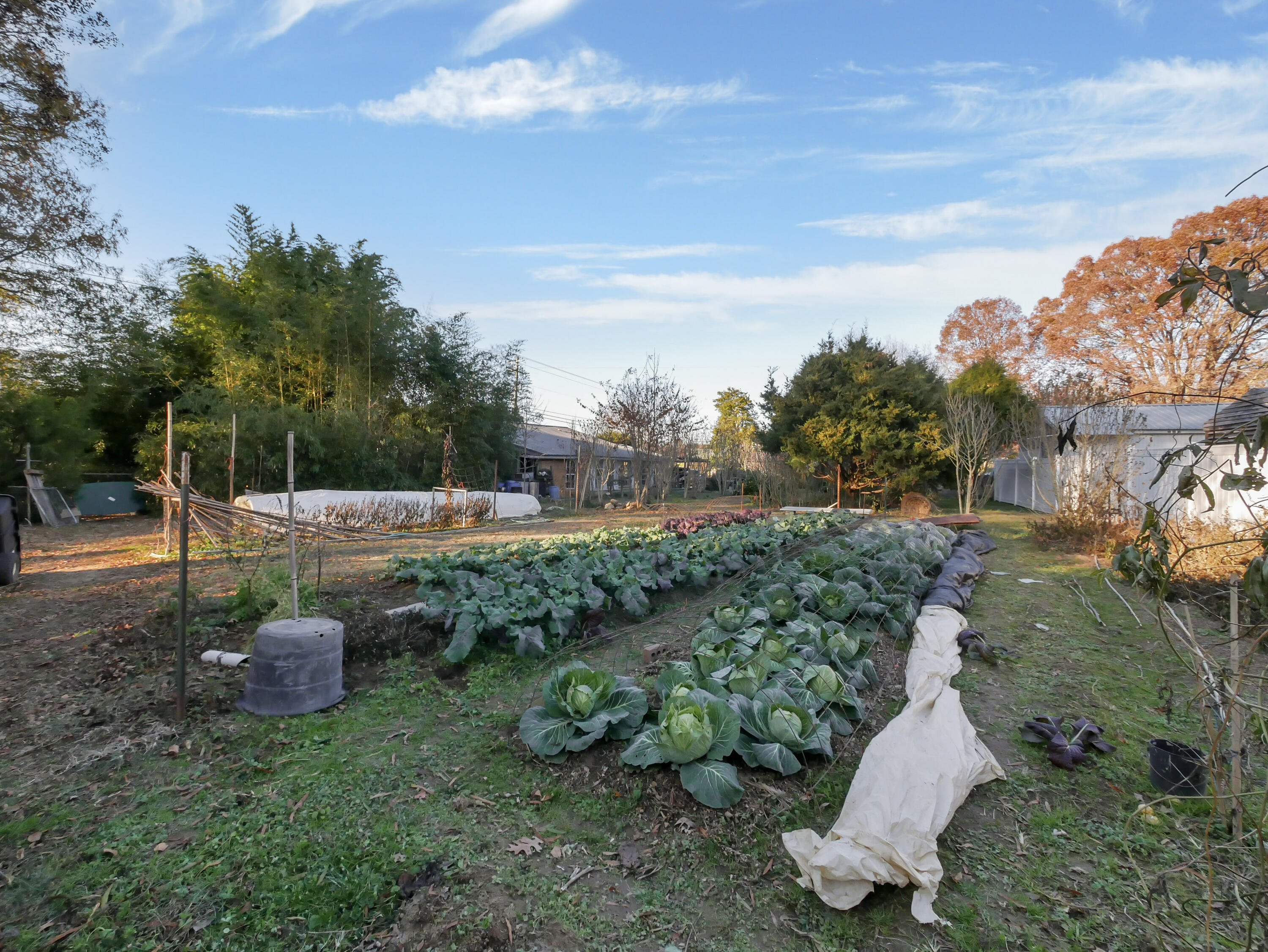 10 Laminack Circle, LaFayette