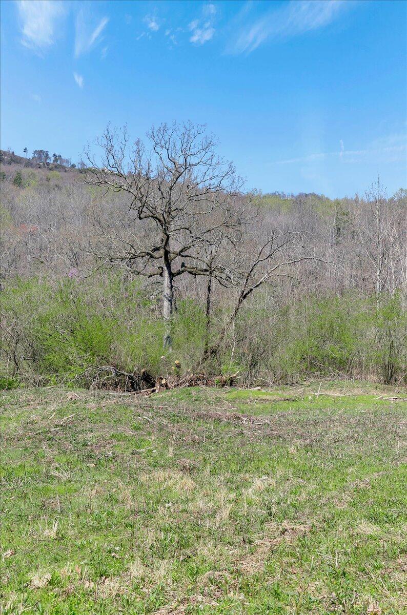 1009 Reads Lake Road, Lot # 9