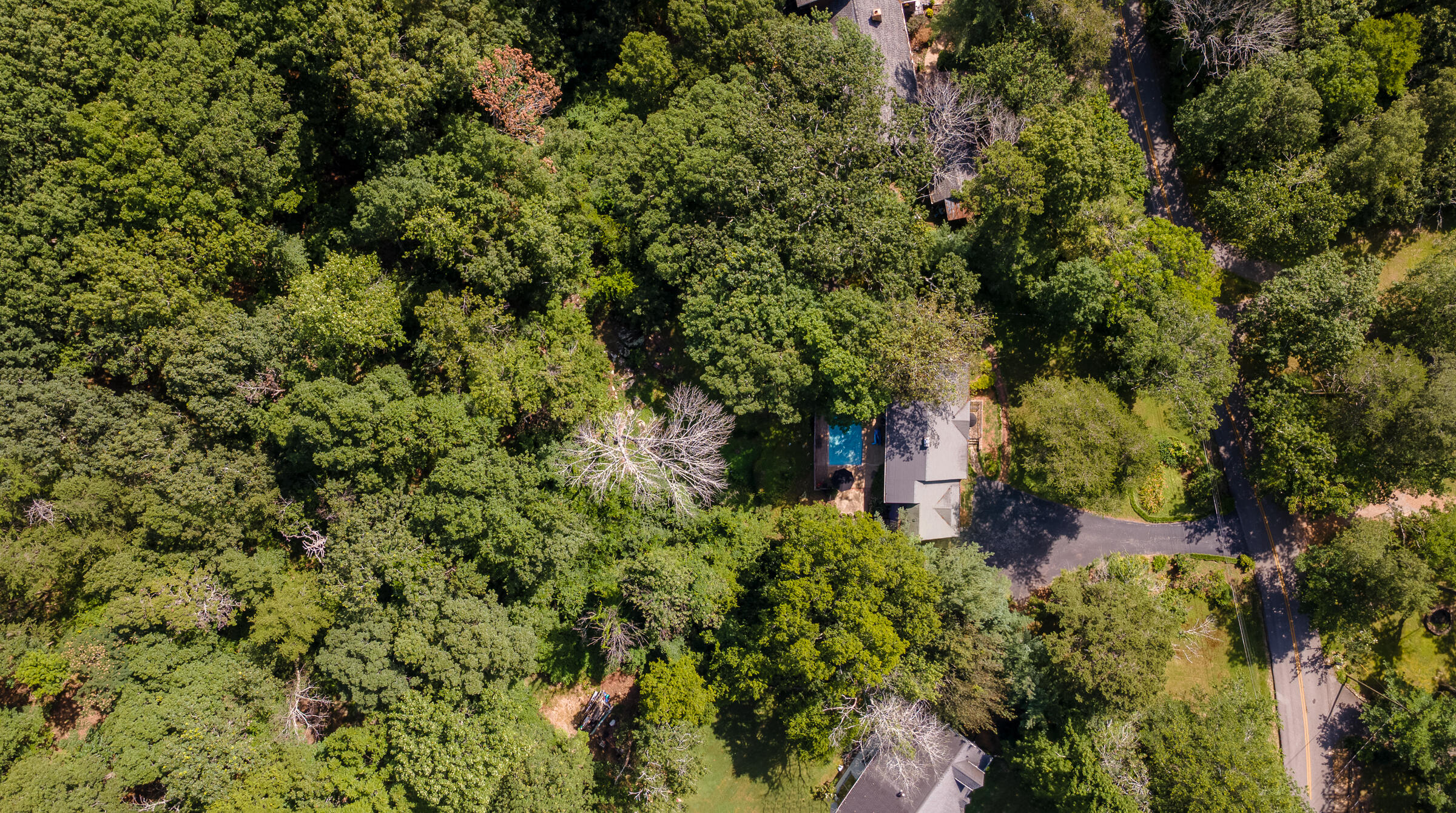 109 Robin Hood Trail