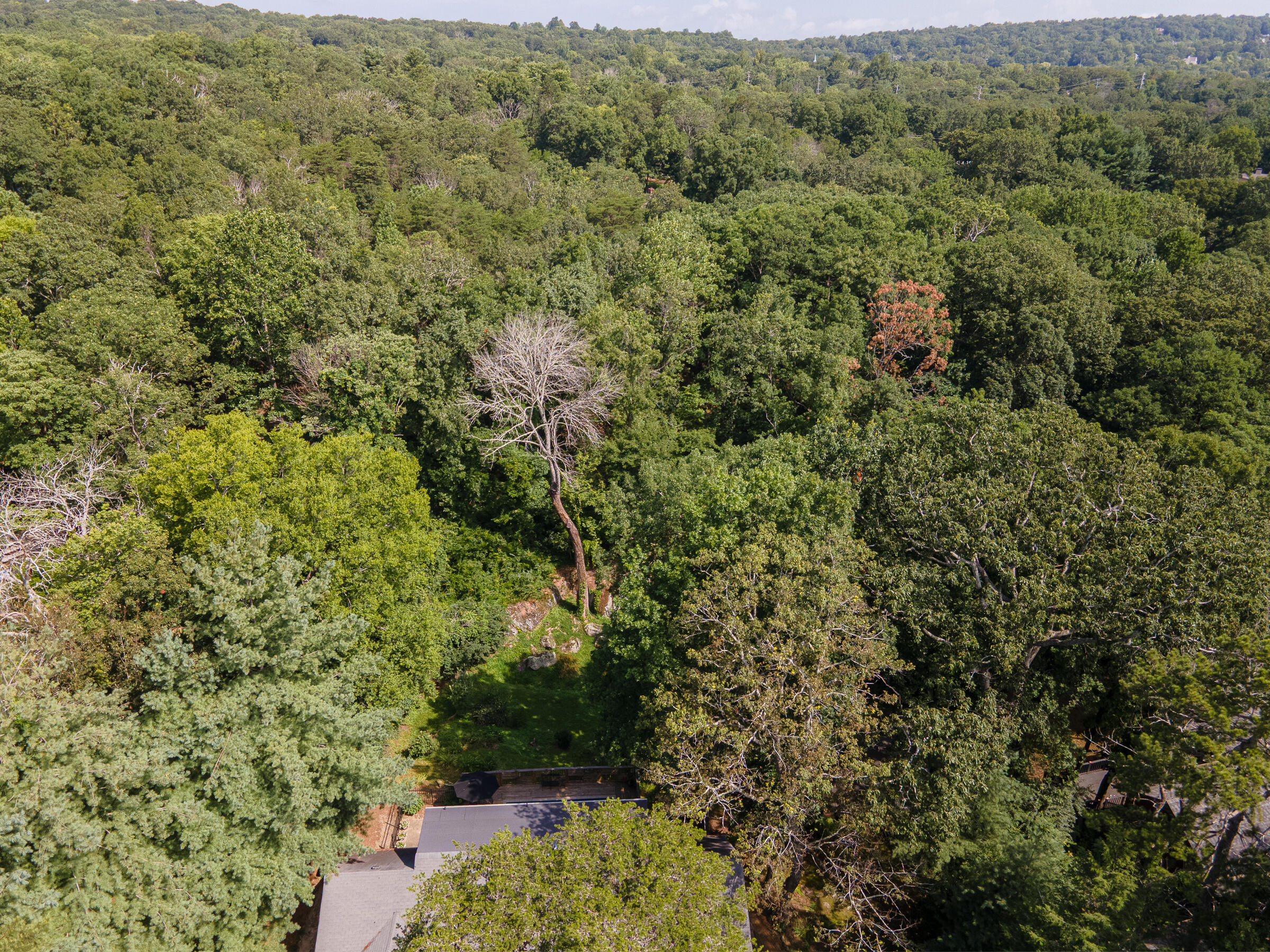 109 Robin Hood Trail