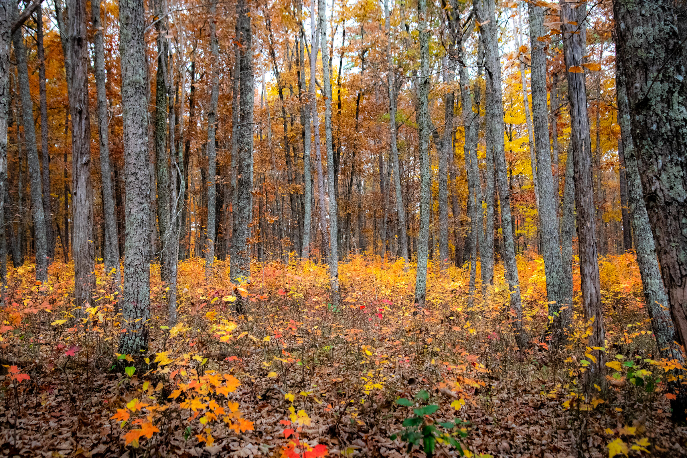 0 Clear Brooks Drive