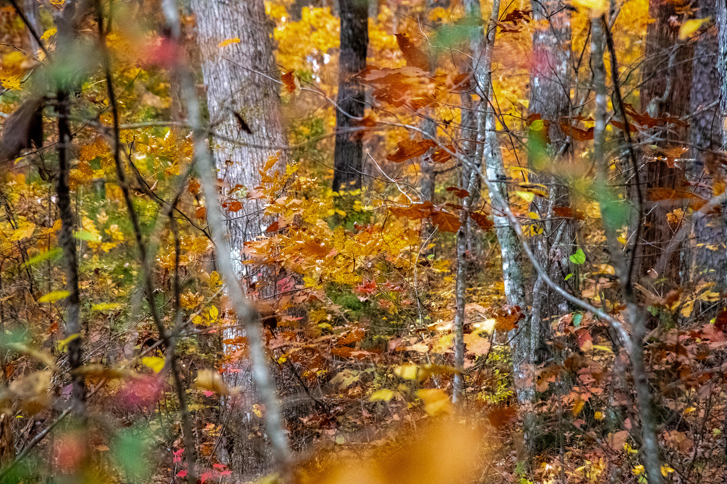 0 Clear Brooks Drive