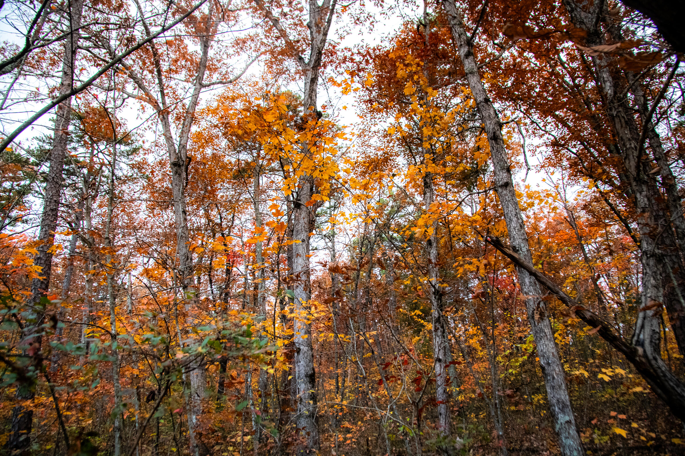 0 Clear Brooks Drive