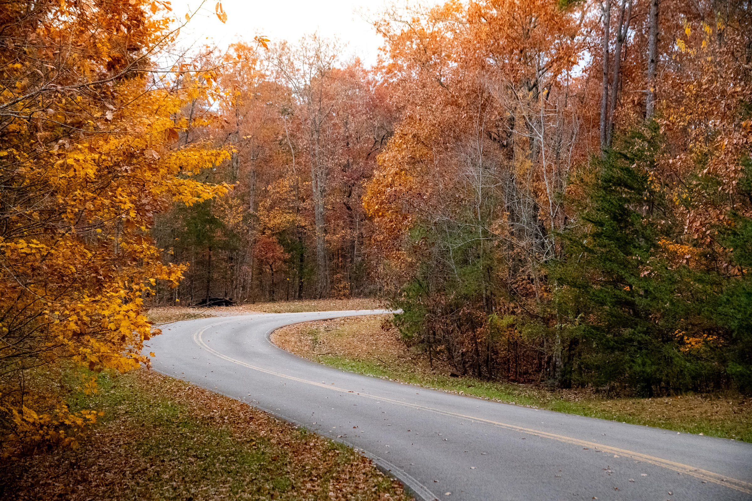 0 Clear Brooks Drive