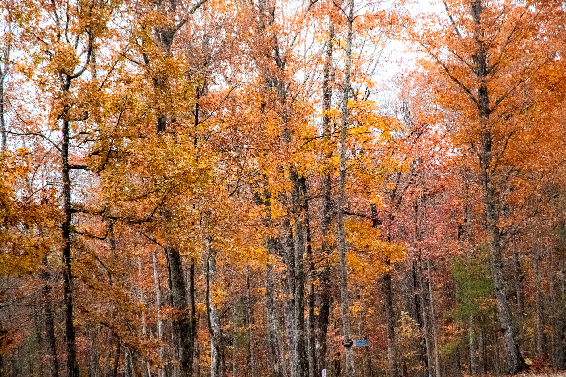 0 Clear Brooks Drive