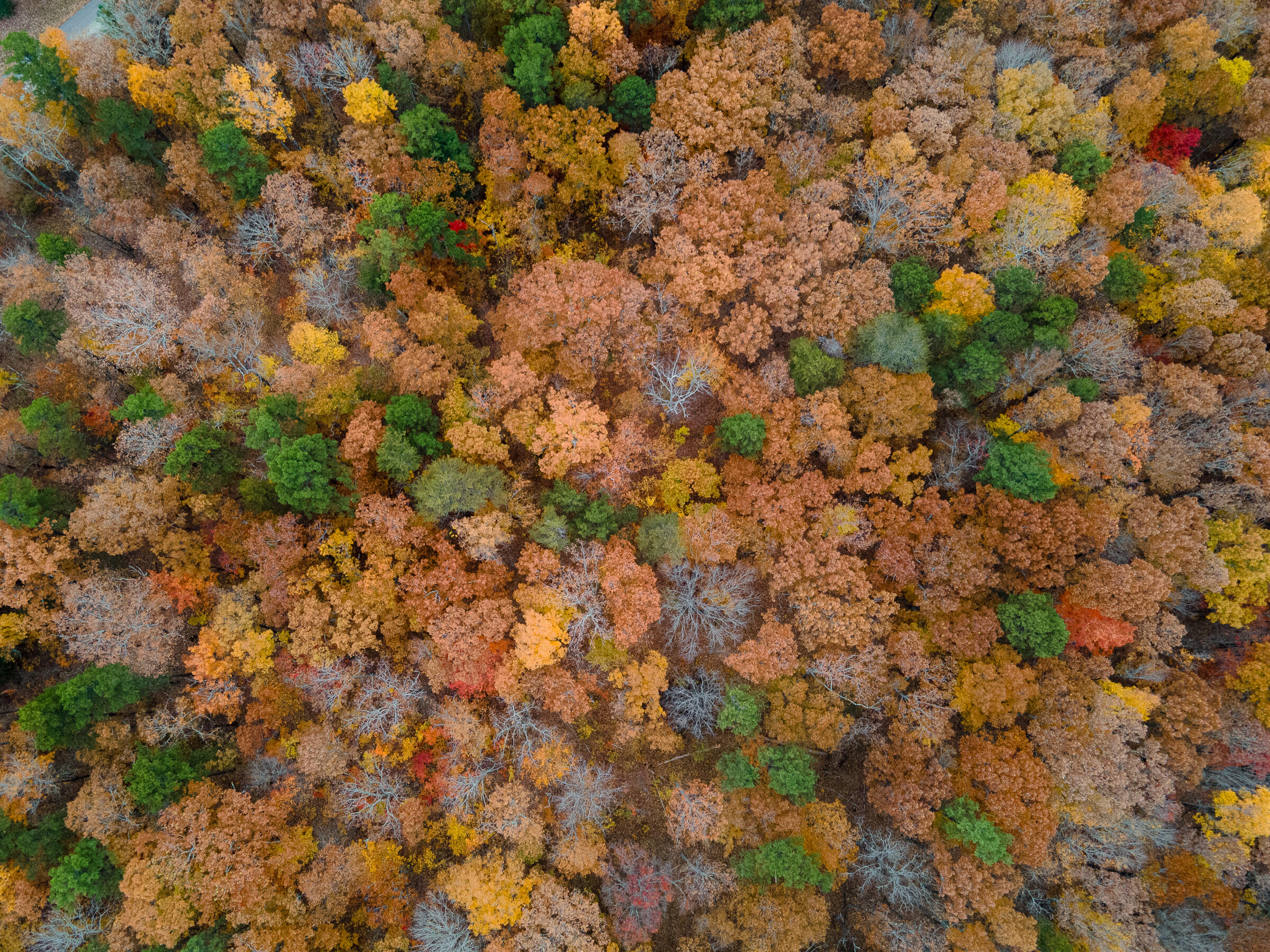 0 Clear Brooks Drive